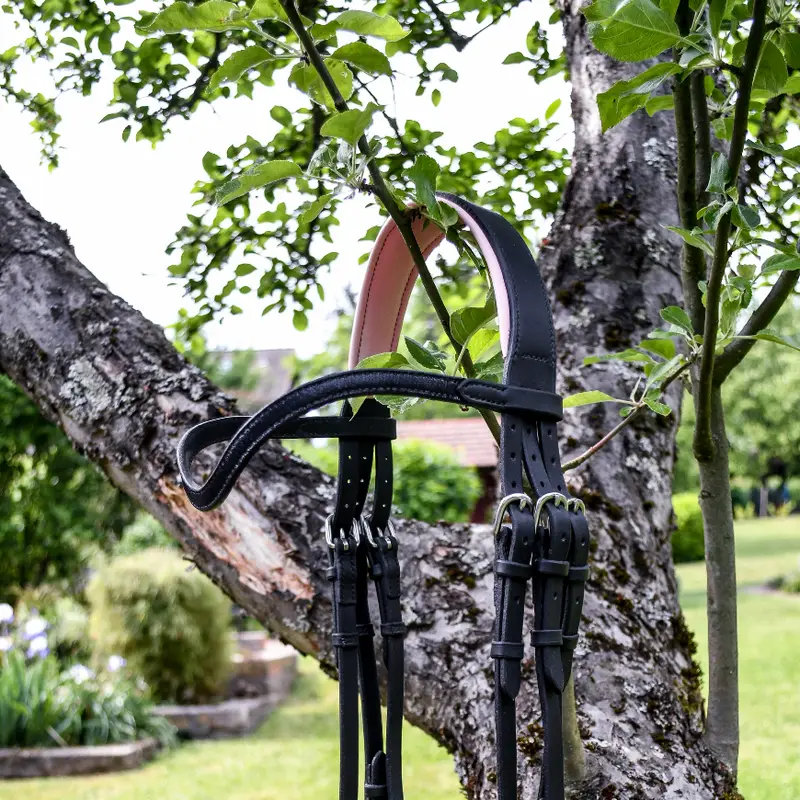 Hand stitched chic bridle 3
