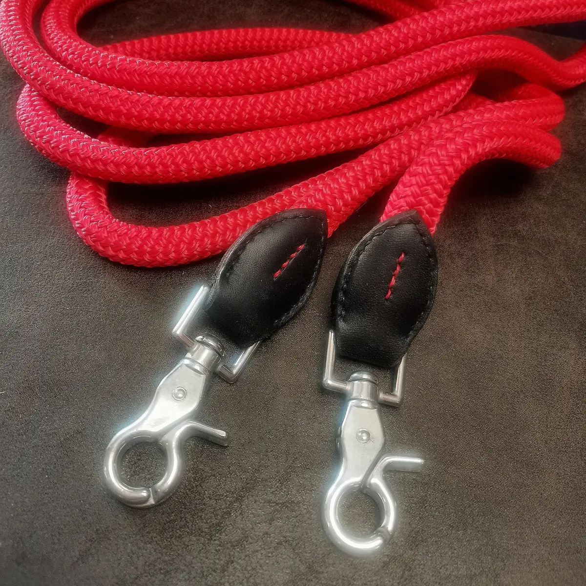 Rênes cuir et corde 2