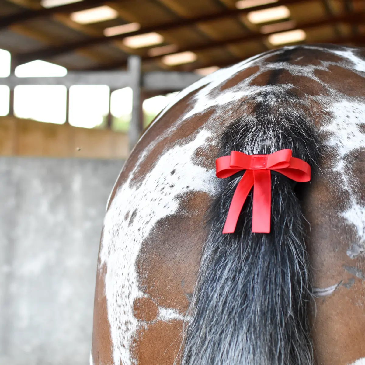 Tail knot