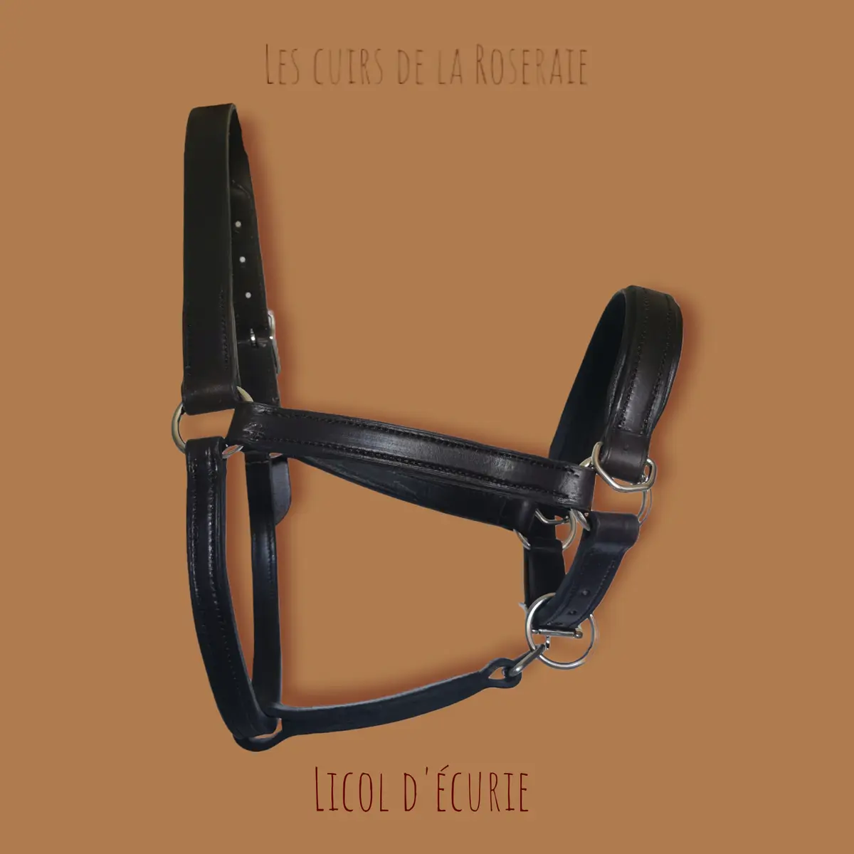 Stable halter 2