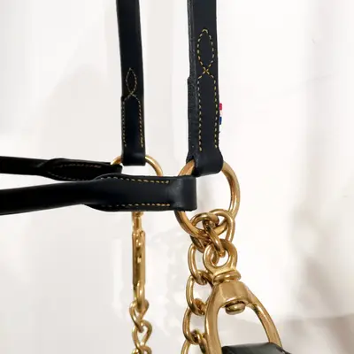 Presentation Halter Black and Gold with Chain 2