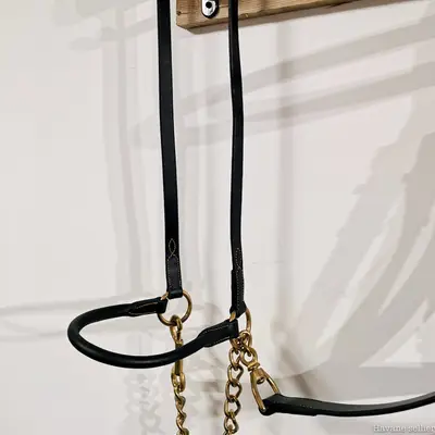 Presentation Halter Black and Gold with Chain 1