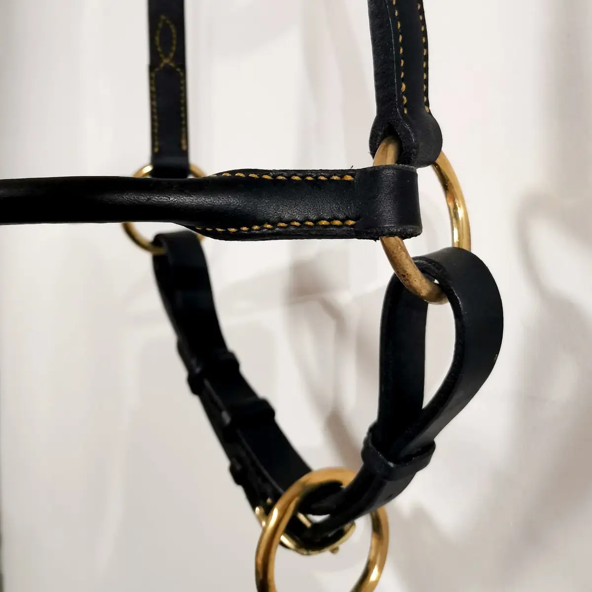 Licol de présentation noir et doré petite taille 3