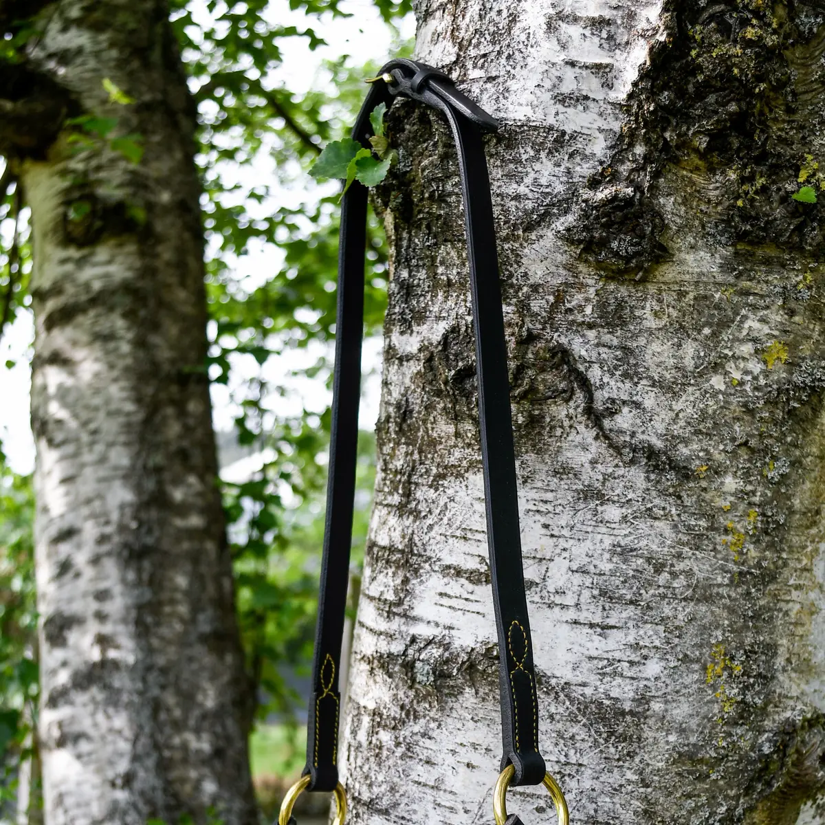 Licol de présentation noir et doré petite taille 2