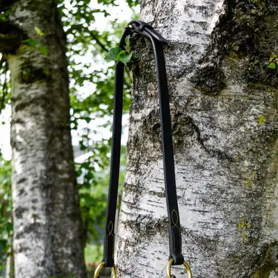 Horse 2