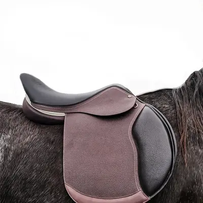 Unisex saddle with interchangeable arch 1