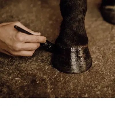 authentic-shea-butter-bio-horse-and-rider-13g 2