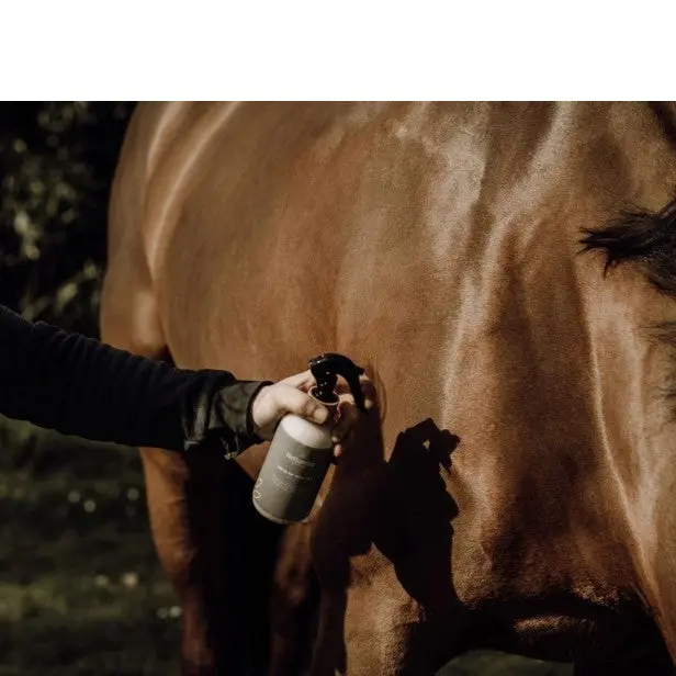 Insect Repellent 3
