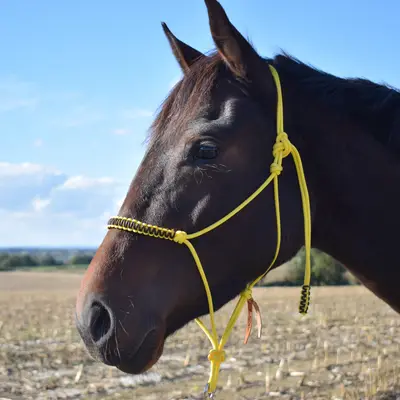 Macramé braided rope halter 1