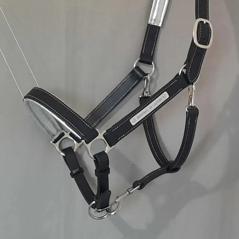 Licol classique tout cuir 2