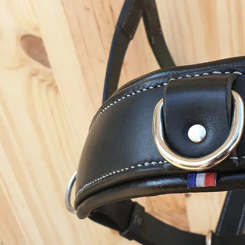 Zoom cavesson halter 4