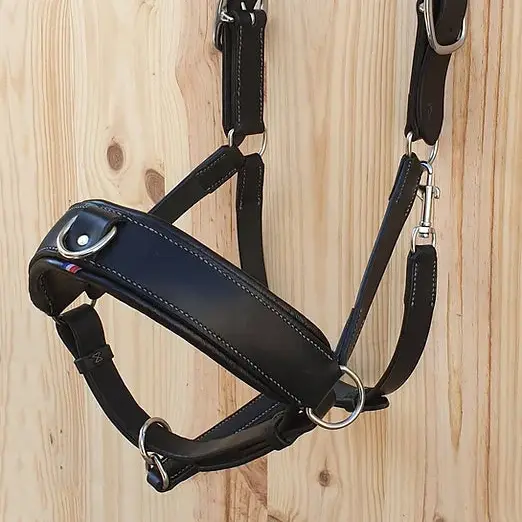 Zoom cavesson halter 3