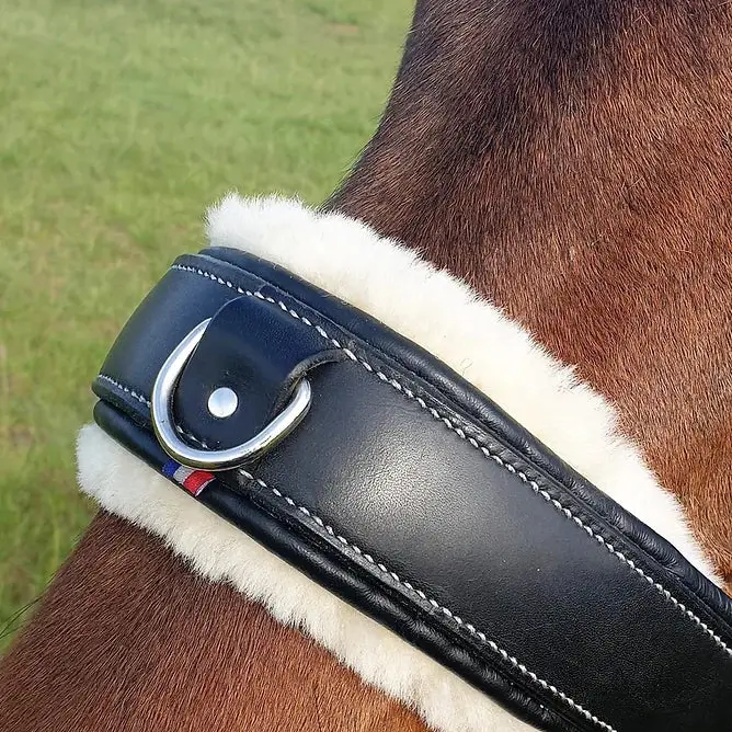 Zoom cavesson halter 5