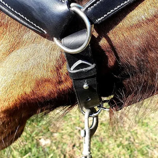 Zoom cavesson halter 6