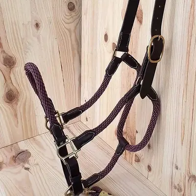 Leather halter, rope halter, and lead rope 2