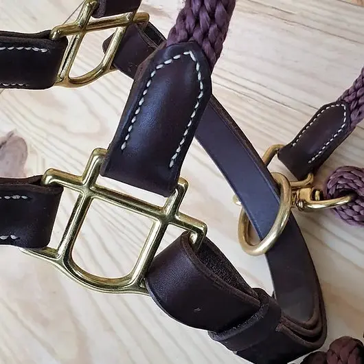 Leather halter, rope halter, and lead rope 4