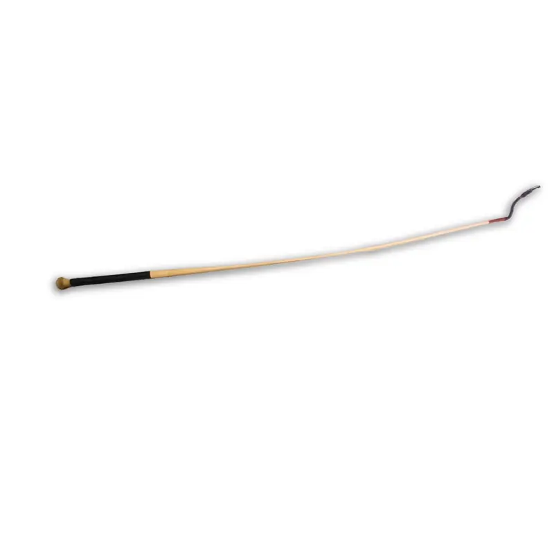 Stick de dressage