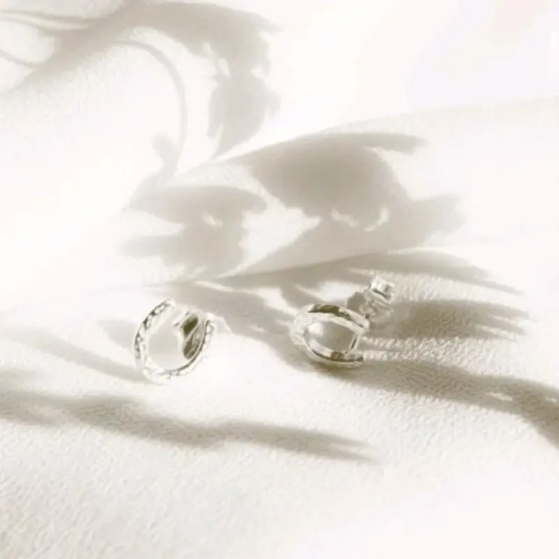 Horsehoe earrings