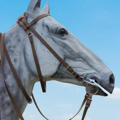 Ergonomic Biothane Bridle 3