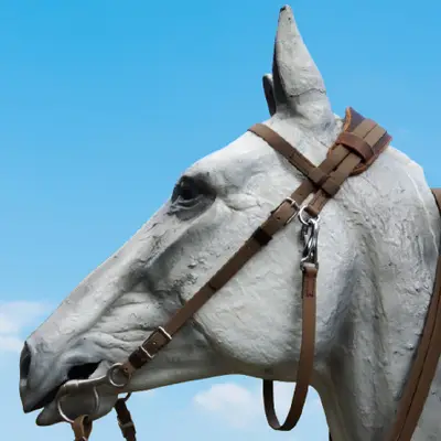 Ergonomic Biothane Bridle