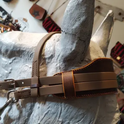 Ergonomic Biothane Bridle 2