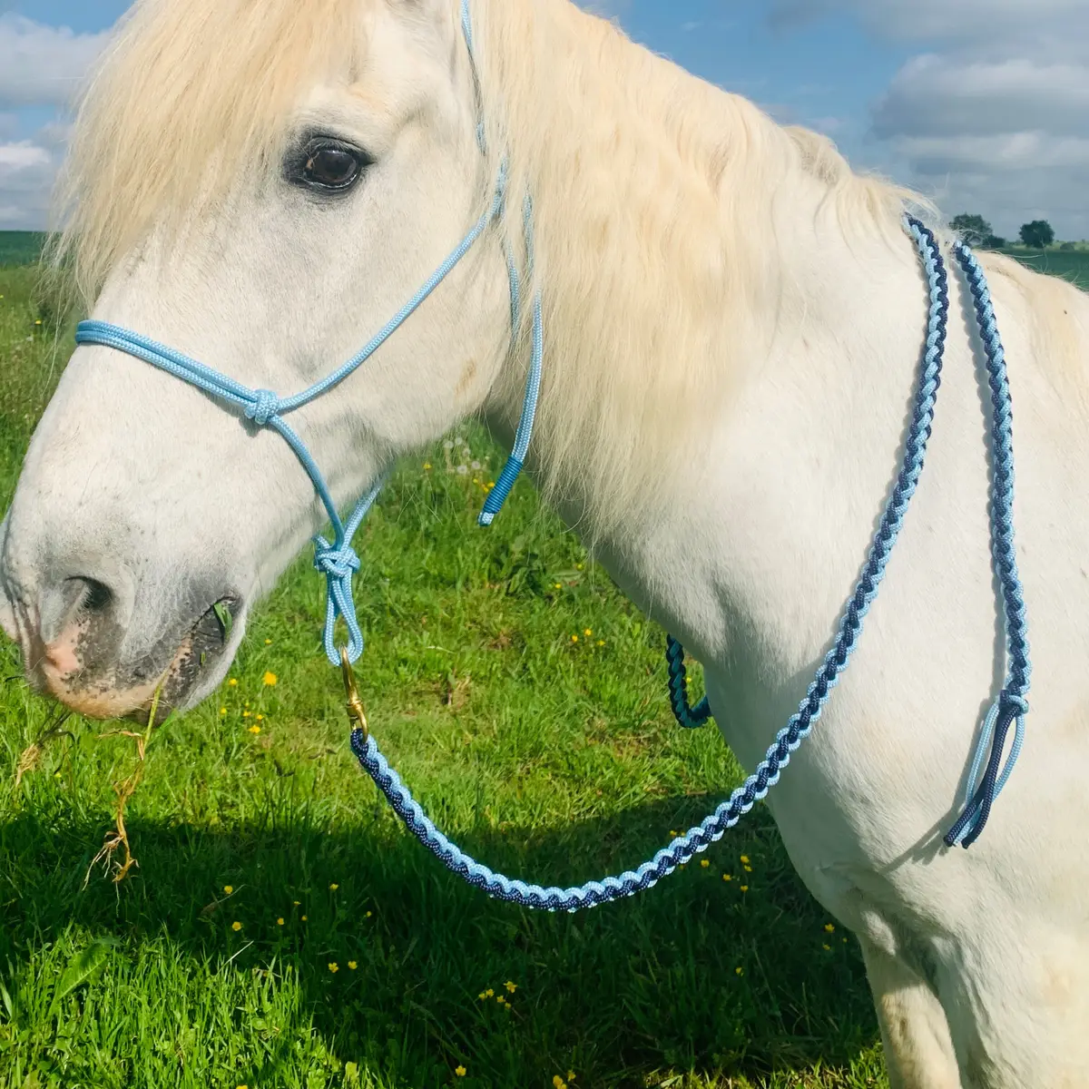 Hand-tied rope halter