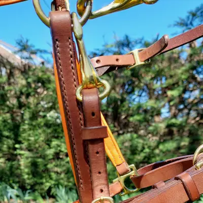 Hiking halter/bridle combo and braided reins 2