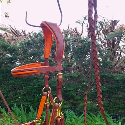 Hiking halter/bridle combo and braided reins 1