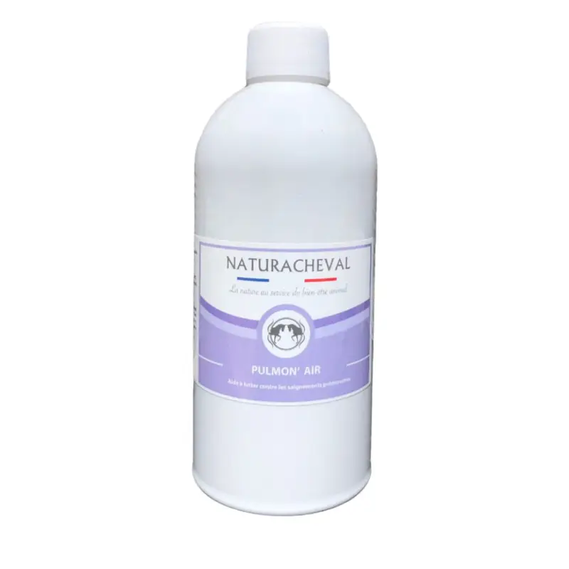 PULMON' AIR SYRUP 500ML