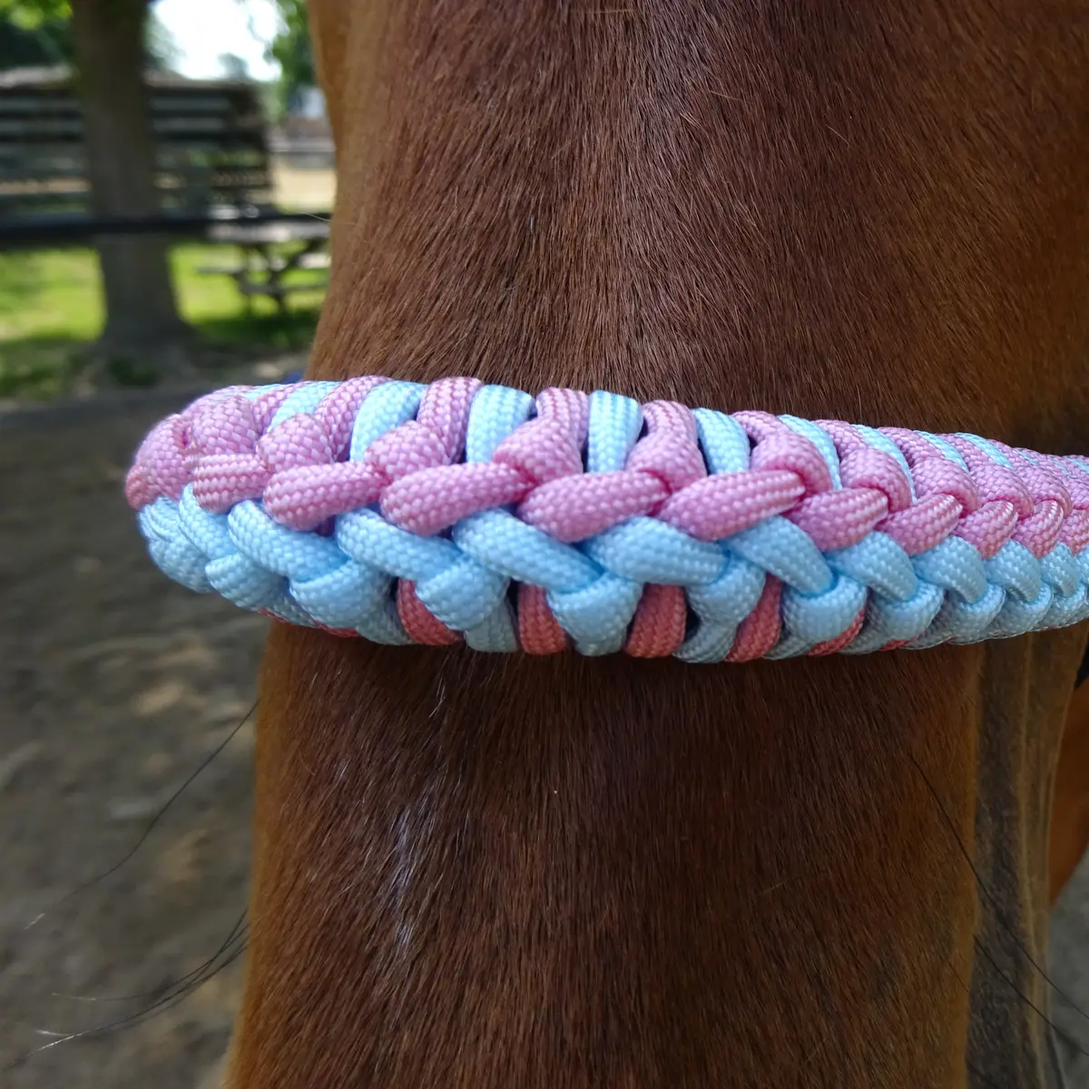 Halter Jonquille 3