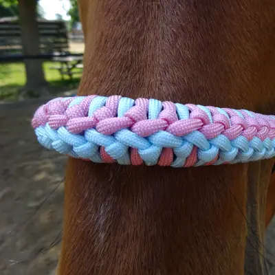 Halter Jonquille 3