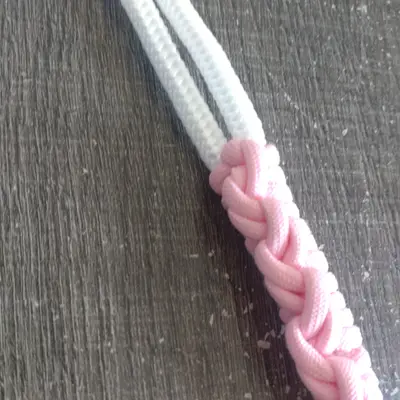 Halter Prim' 5