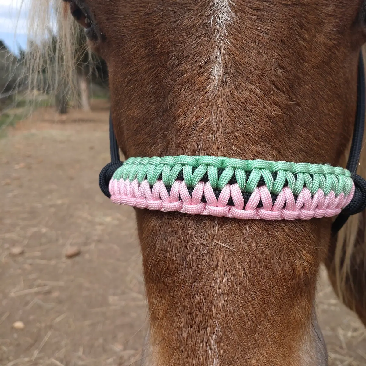 Halter Narcisse 3