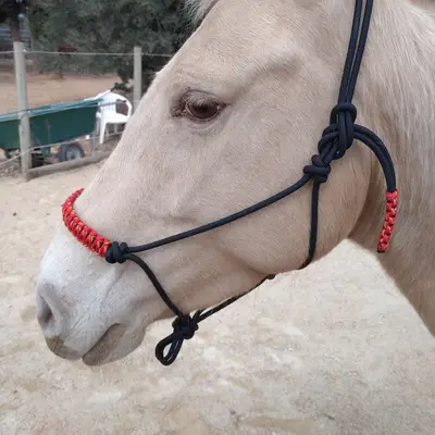 Halter Lys 1