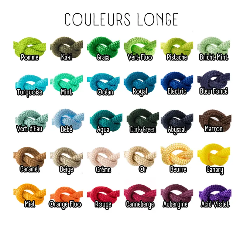 Lead Rope 2m50 3