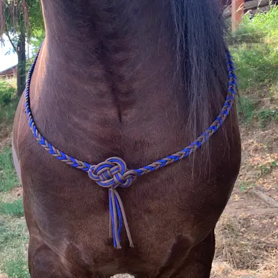 Ethological braided cord 8