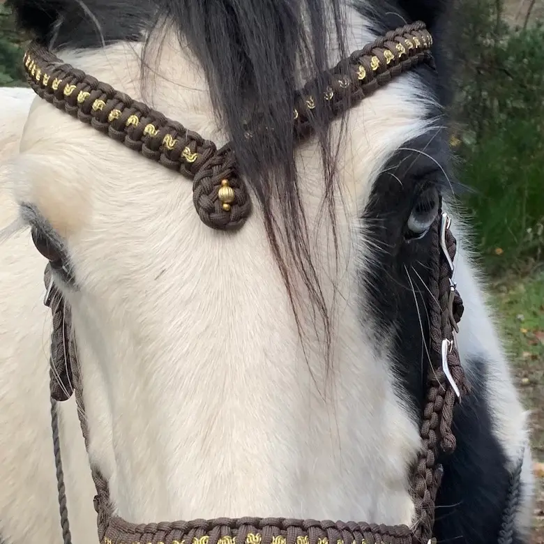 Filet d'équitation artisanal avec frontal en pointe 1