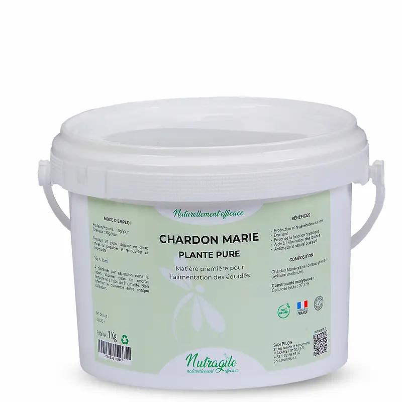 Chardon Marie poudre