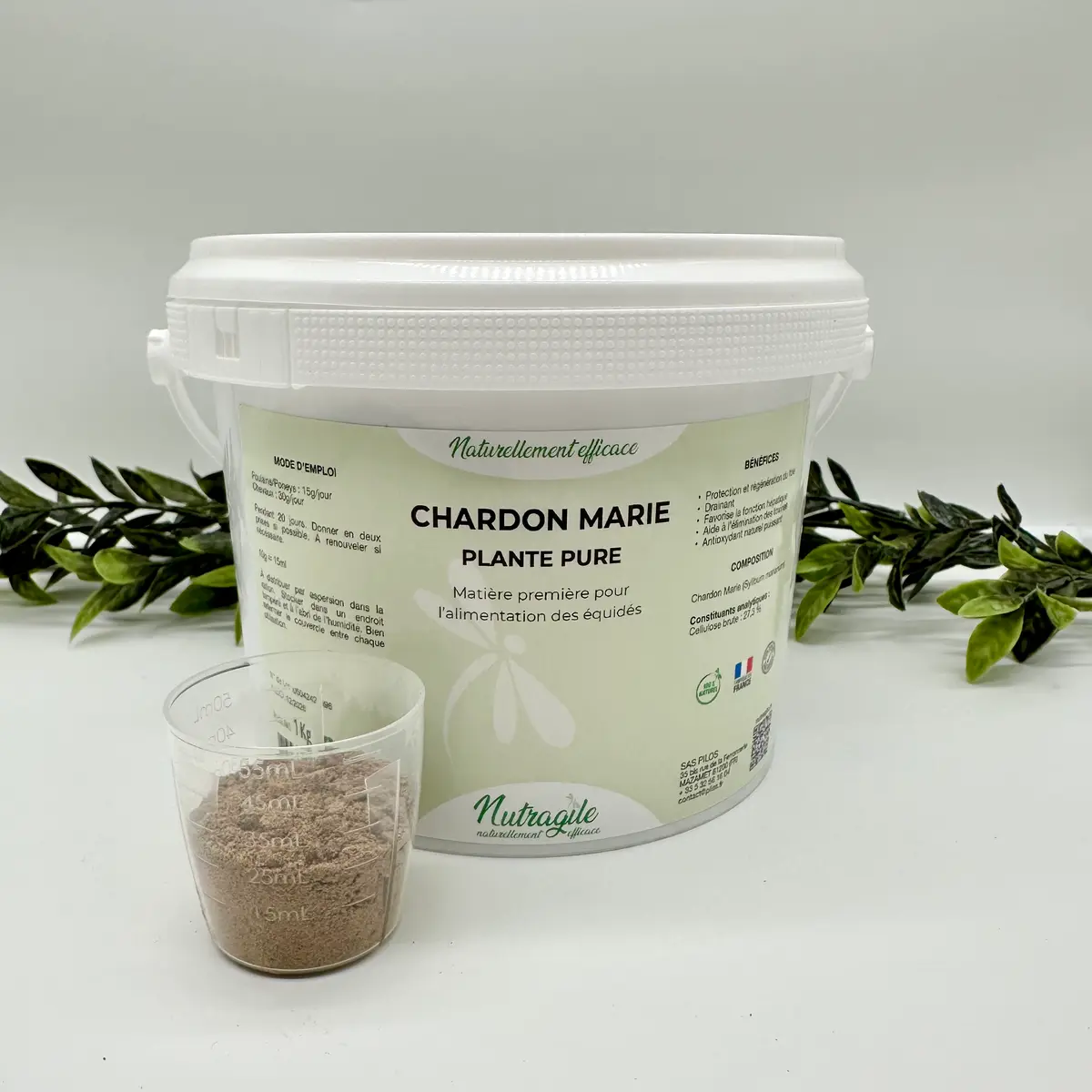 Chardon Marie poudre 2