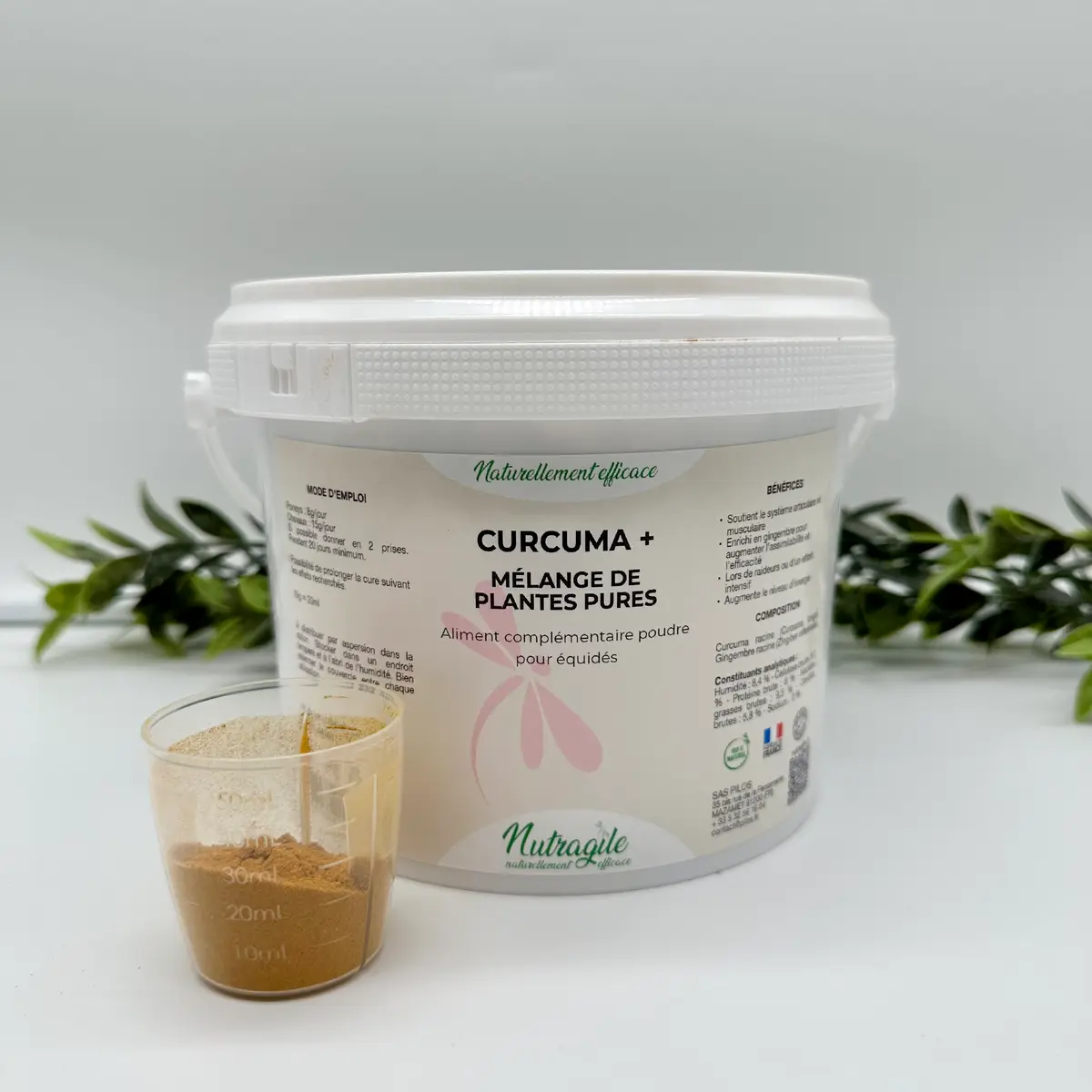 Curcuma+ 2