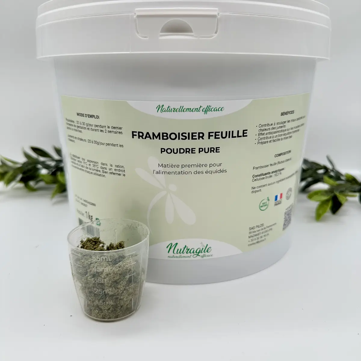 Framboisier 2