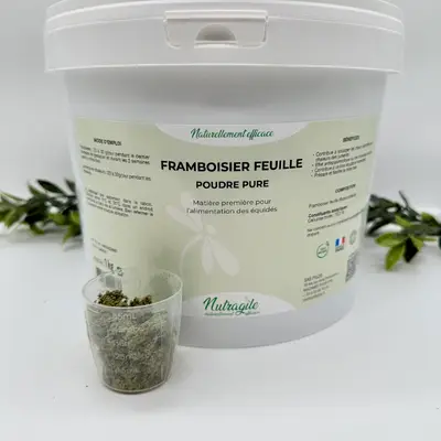 Framboisier 2