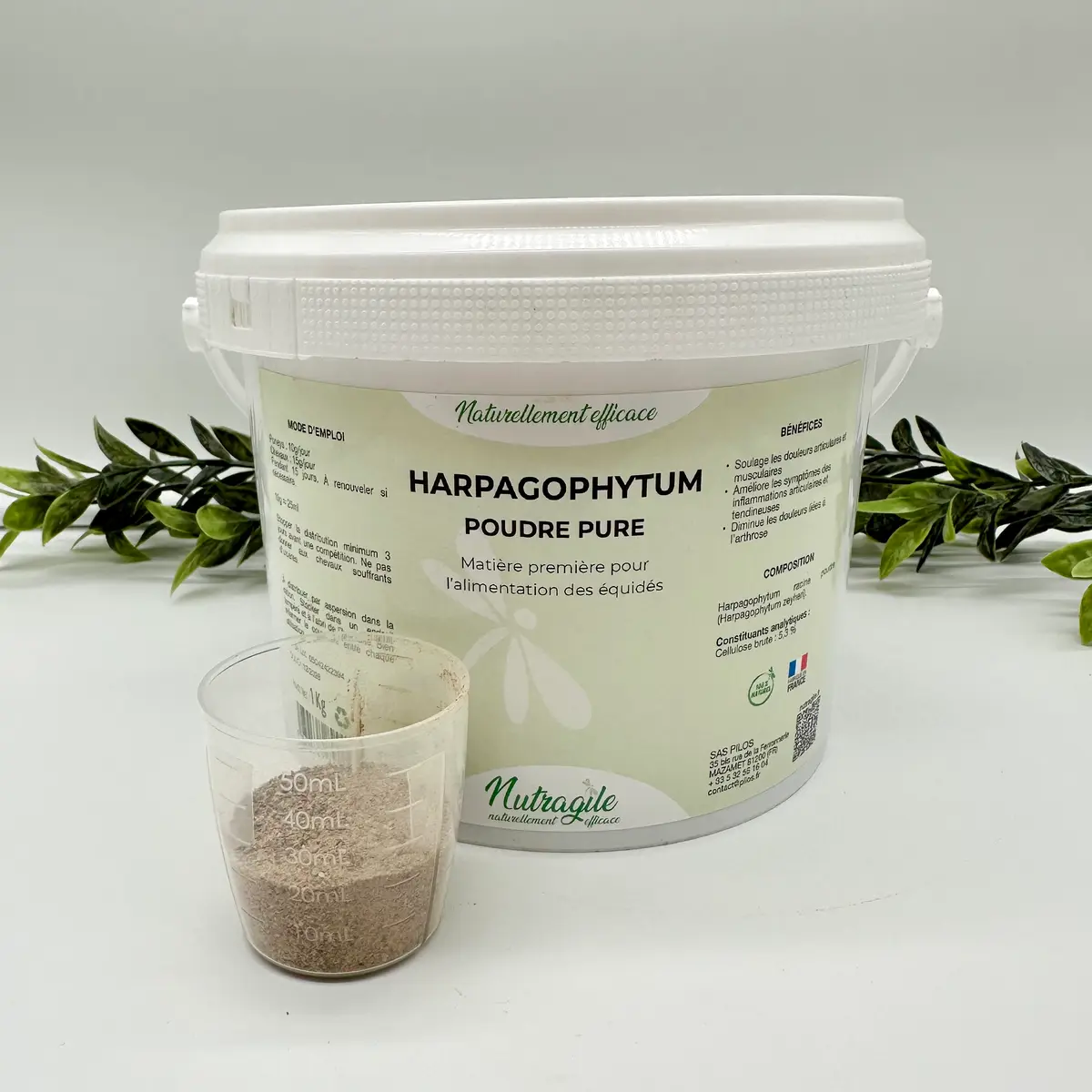 Harpagophytum 2