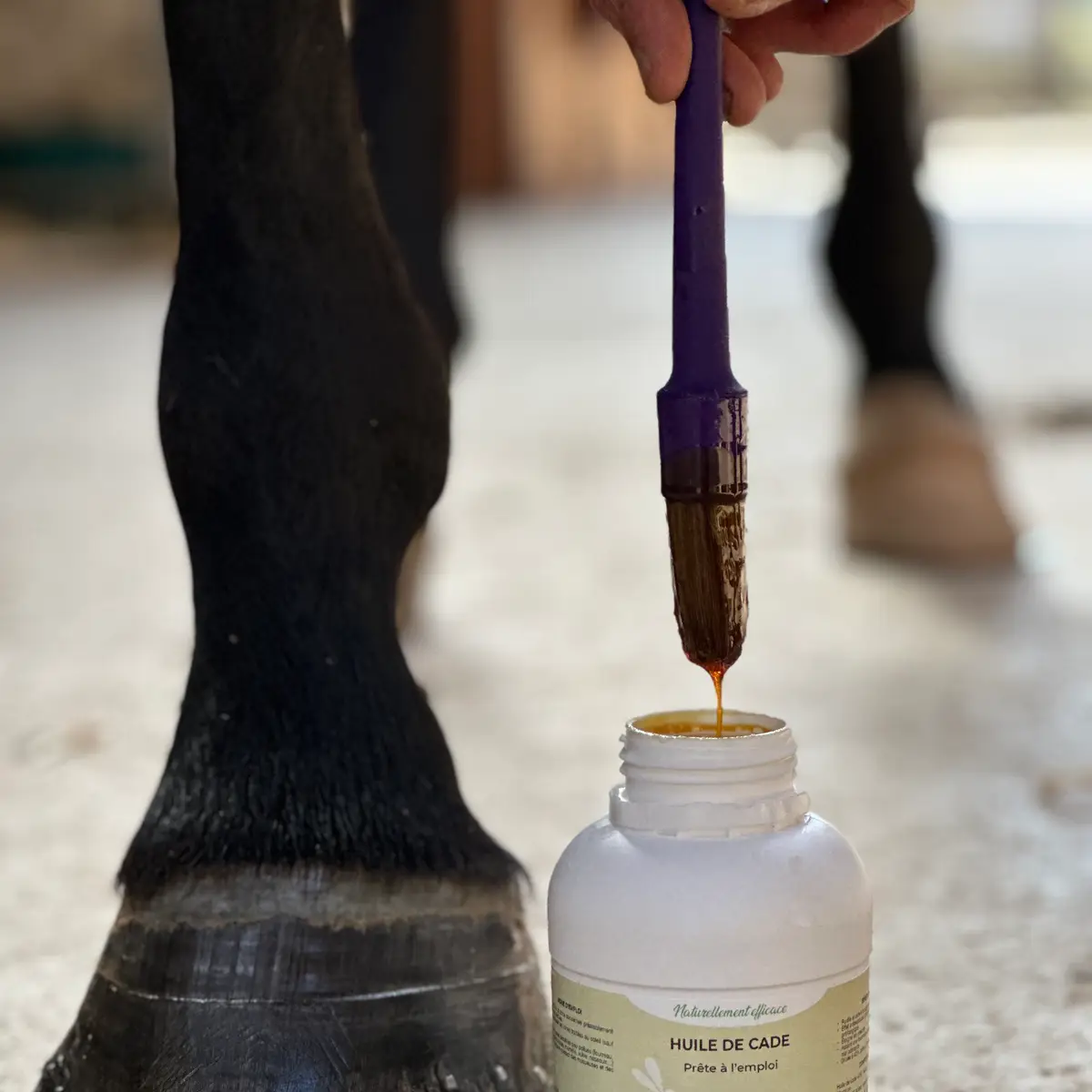 Cade oil Ready to use