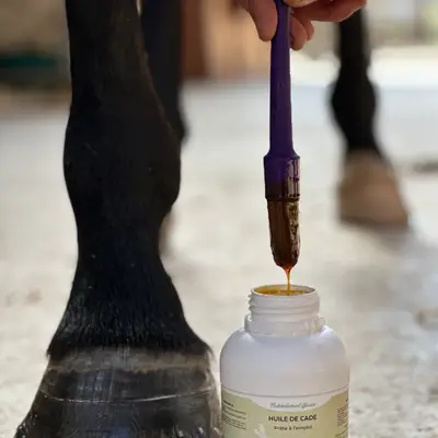 Cade oil Ready to use 1
