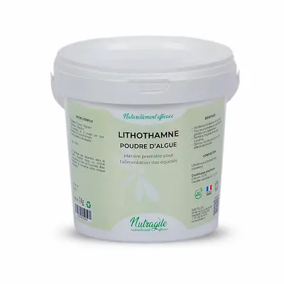 Lithothamme 1