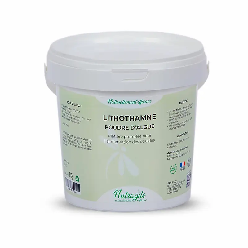 Lithothamme