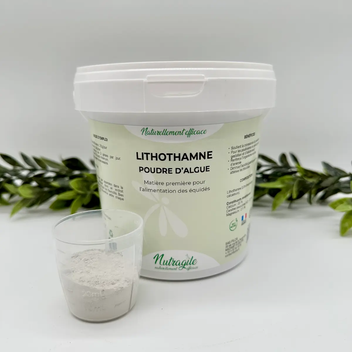 Lithothamme 2