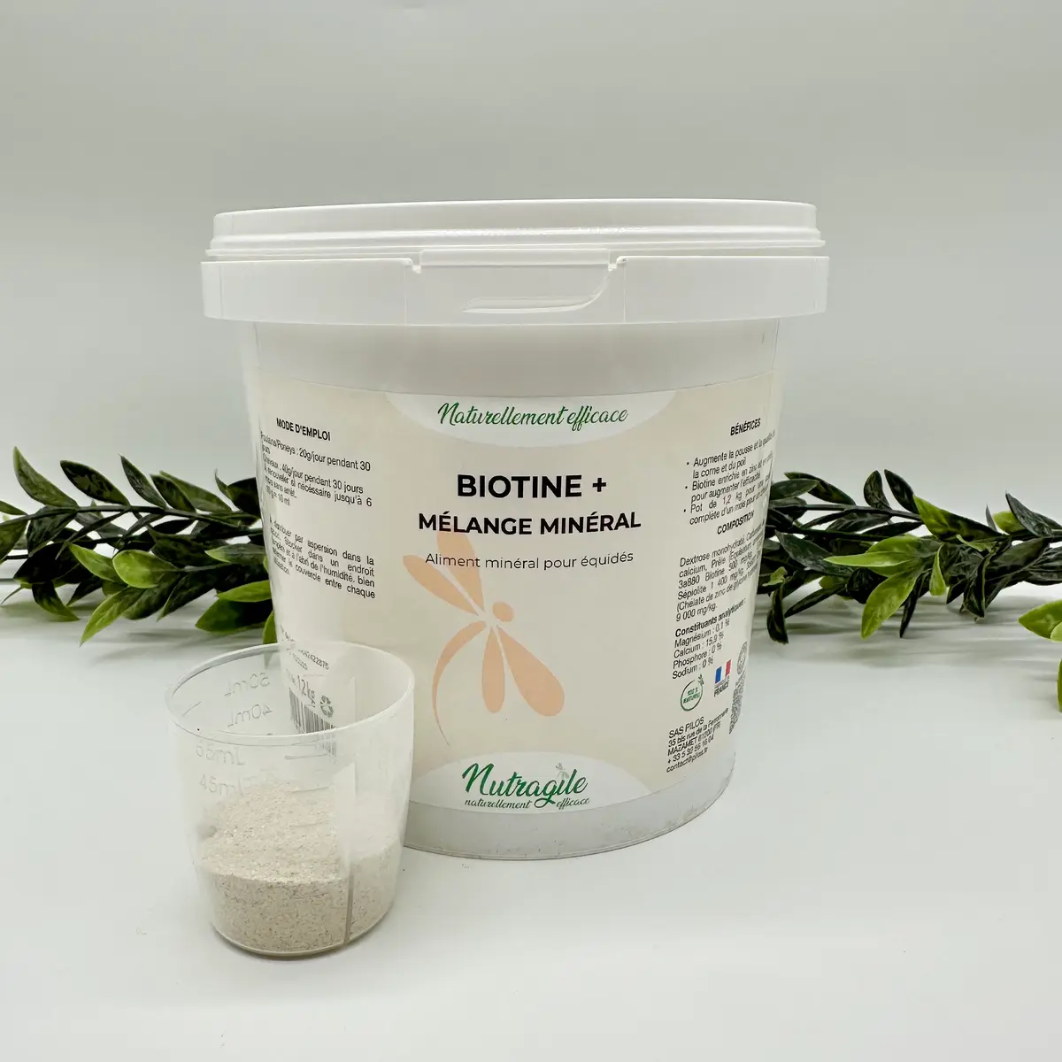 Nutragile Biotine+ 2