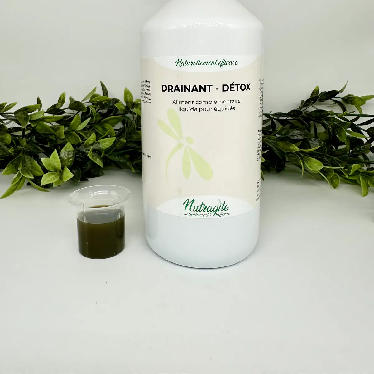 Nutragile Drainant détox 2